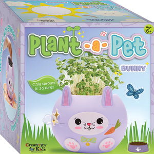 4 | Plant a Pet Bunny