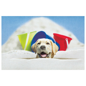 Enesco - 80613 | Scoop