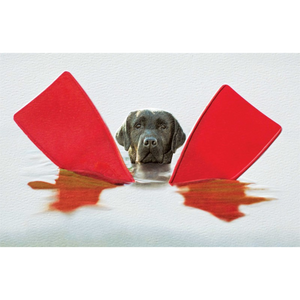 Enesco - 80620 | Salty