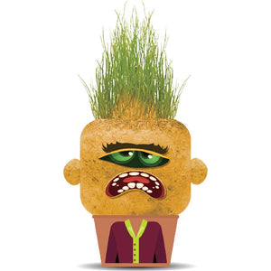 Hape - 847769 | Plant Pals Monsters - Moody Mary