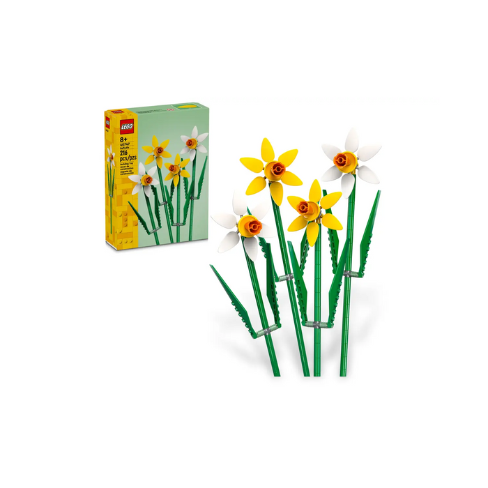 4 | Flowers: Daffodils