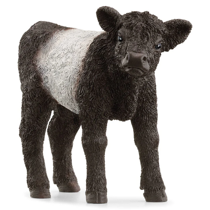 4 | Farm World: Galloway Calf
