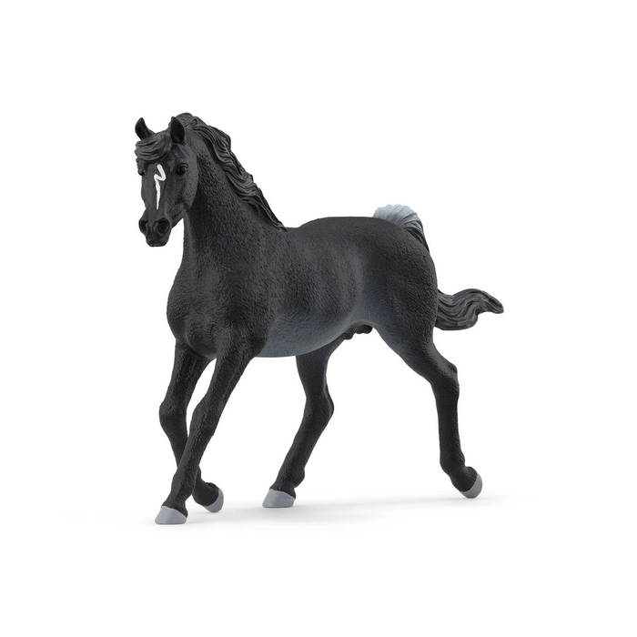 4 | Schleich - 13981 Rabicano Arabian Stallion