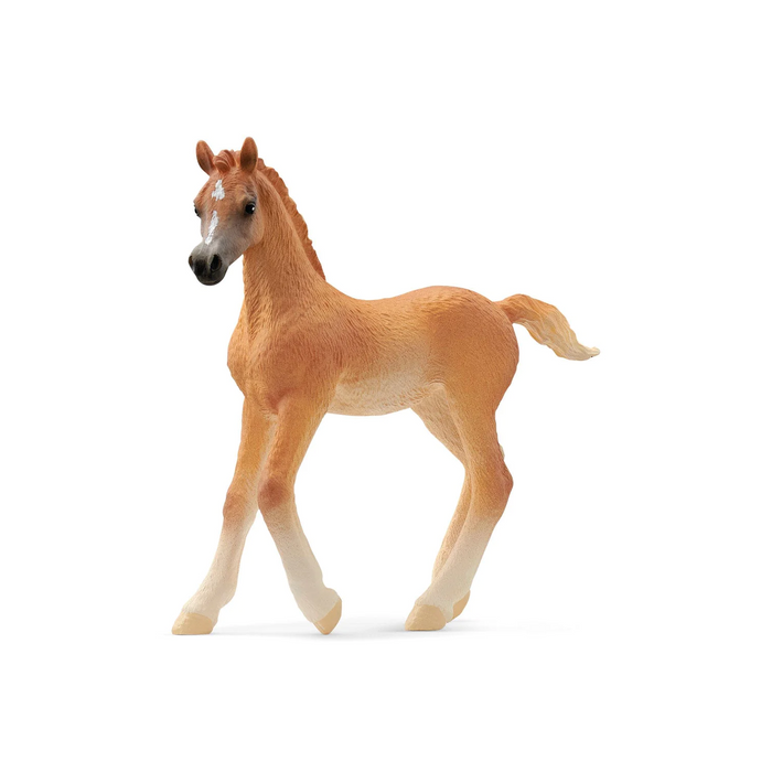 4 | Schleich - 13984 Arabian Foal