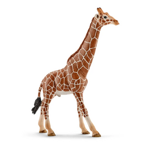 Schleich - 14749 | Wild Life: Giraffe, Male