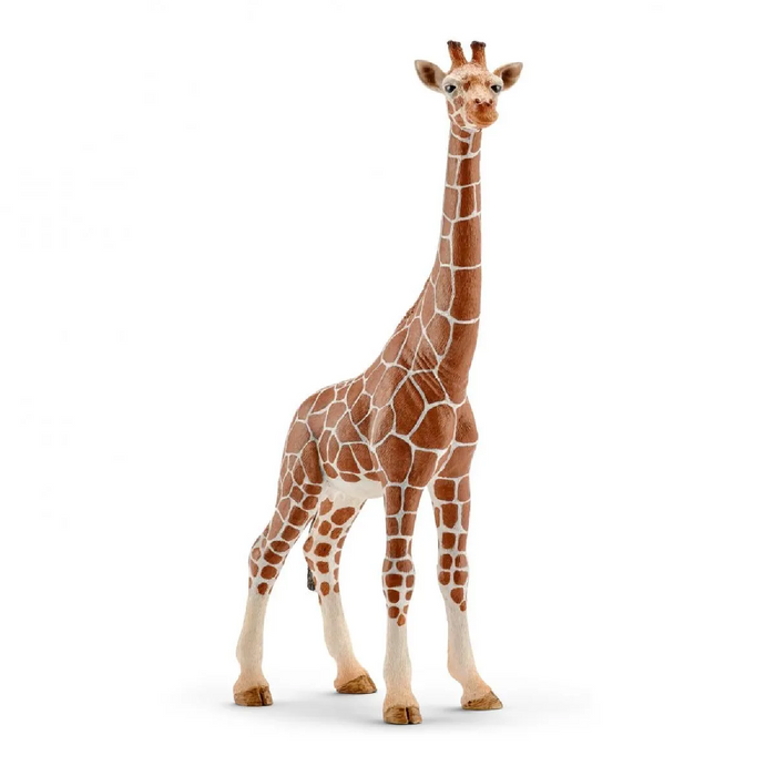7 | Wild Life: Giraffe, Female