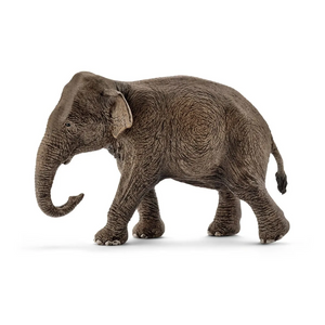 Schleich - 14753 | Wild Life: Asian Elephant, Female