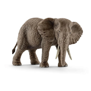4 | Wild Life: African Elephant, Female