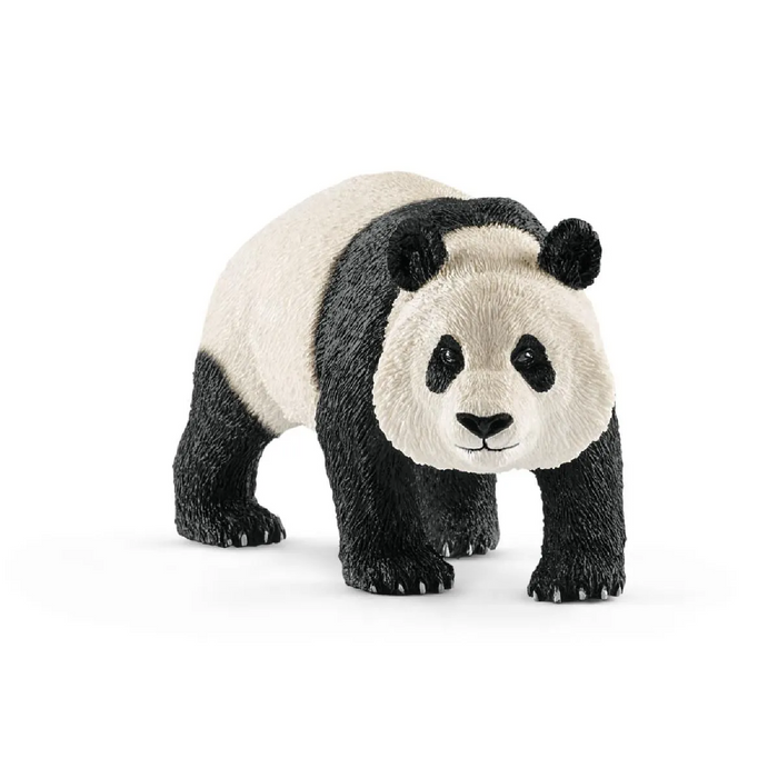 1 | Wild Life: Giant Panda, Male