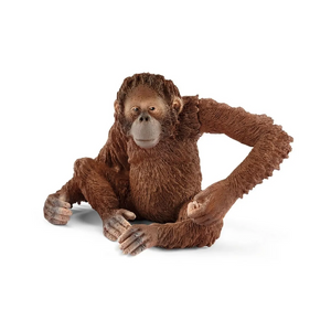 Schleich - 14775 | Wild Life: Orangutan, Female