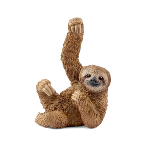 10 | Wild Life: Sloth