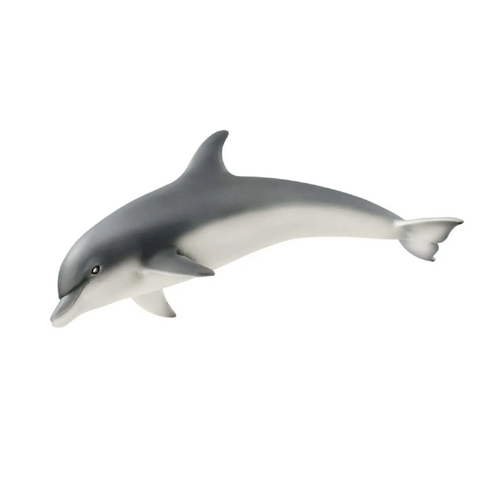 7 | Wild Life: Dolphin