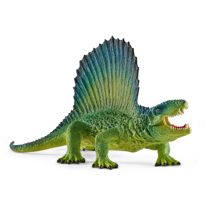 3 | Dinosaurs: Dimeterodon