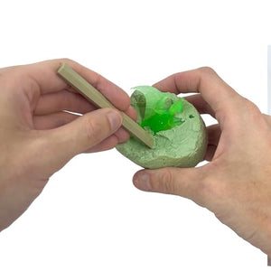 Thames & Kosmos - 601639 | I Dig It! Glow-in-the-Dark Dinosaur Egg Excavation Kit
