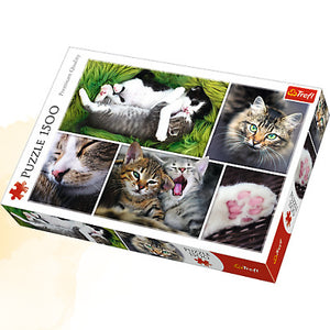 1 | Montage Cats - 1500 PC Puzzle