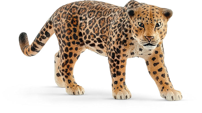 5 | Wild Life: Jaguar