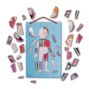 Janod - 05491 | Body Magnet Game