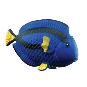 Keycraft Ltd. - CR171 | Stretchy Beanie Blue Tang
