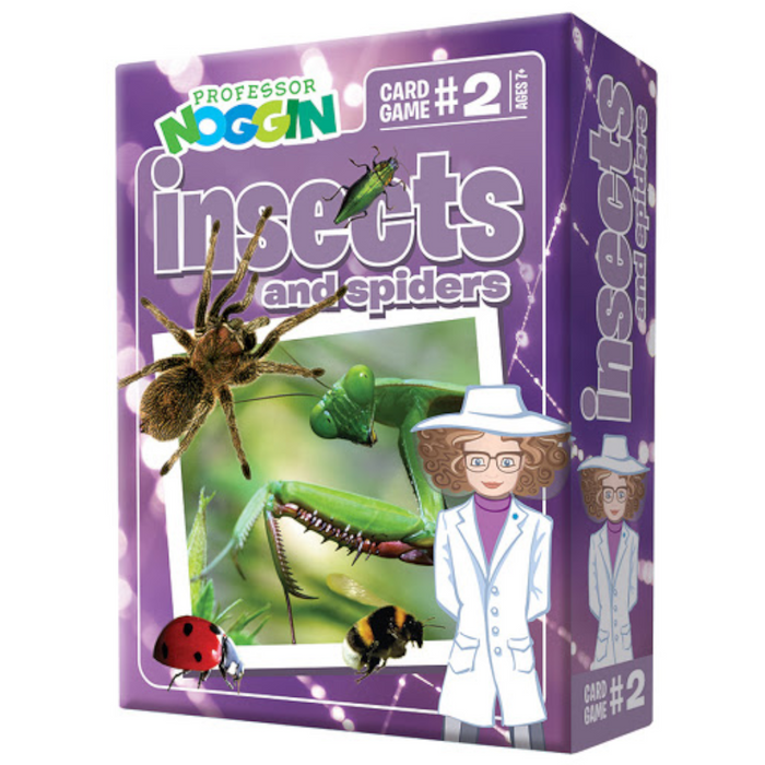 6 | Prof. Noggin Insects and Spiders Game
