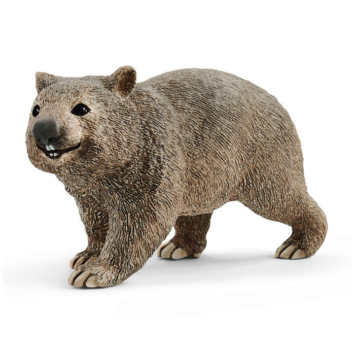 5 | Wild Life: Wombat