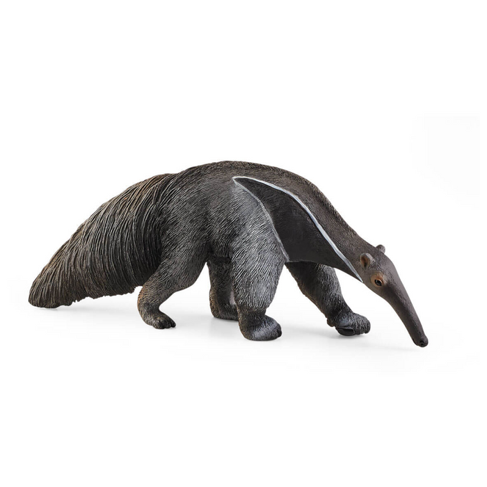 19 | Wild Life: Anteater