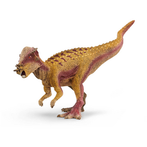 15 | Dinosaurs: Pachycephalosaurus