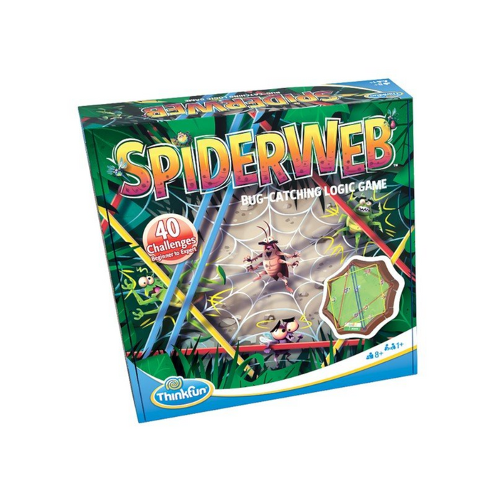 5 | Spider Web