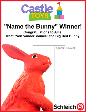 "Name the Bunny" Winner!