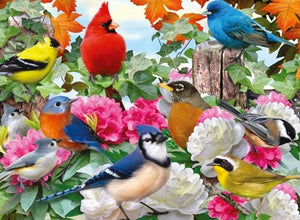 Ravensburger - 12000147 | Garden Birds - 500 Piece Puzzle