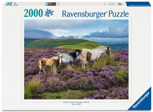 Ravensburger - 12001751 | Wild Horses in the Heather - 2000 PC Puzzle