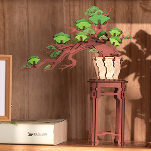 Rolife - TG510 | Evergreen Pine Bonsai Wooden Model Kit