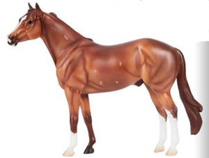 Breyer - B-TR-10718 | (PRE-ORDER) Apollitico Jess