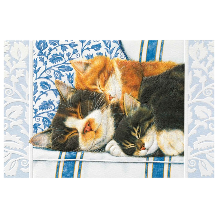 Enesco - 80458 | Birthday Card - Sleepy Kittens
