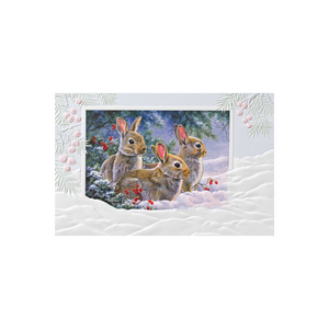 Enesco - 98920 | Christmas Bunny Hideout 16 Card Set