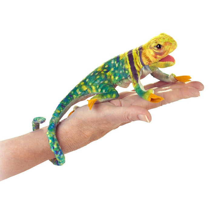 Folkmanis Puppets - 2798 | Mini Collared Lizard Finger Puppet