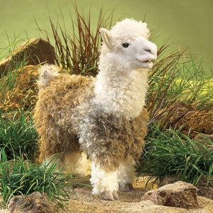 Folkmanis Puppets - 638348029539 | Alpaca Puppet - 2953