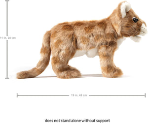 Folkmanis Puppets - 3064 | African Lion Cub - Puppet