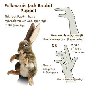Folkmanis Puppets - 3200 | Hand Puppet - Folkmanis - Jack Rabbit 3200