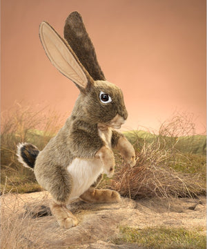 Folkmanis Puppets - 3200 | Hand Puppet - Folkmanis - Jack Rabbit 3200