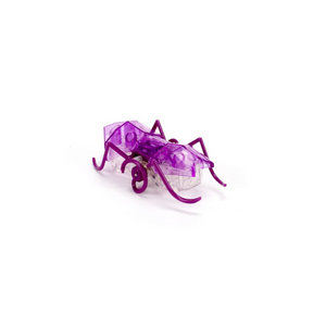 Hexbug - 60234 | Hexbug Mechanicals - Micro Ant - Purple