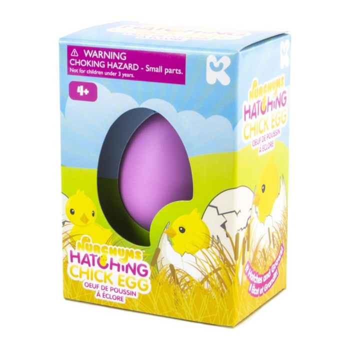 25 | NURCHUMS Small Chick Hatching Eggs (Asst) (One per Purchase)