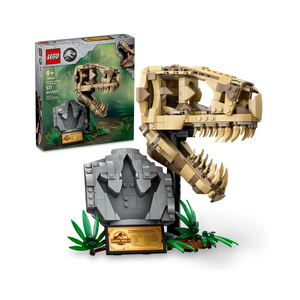 LEGO - 76964 | Dinosuar Fossils: T-Rex Skull