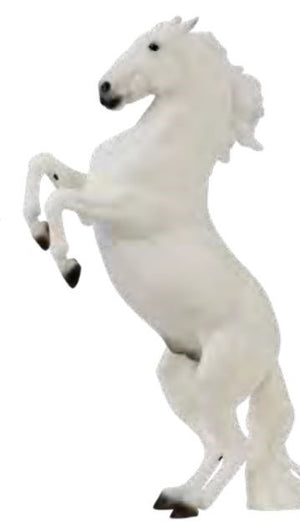 Breyer - B-TR-10667 | (PRE-ORDER) Pluto Gravita