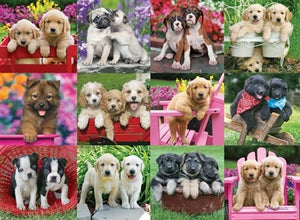 Ravensburger - 12000196 | Puppy Pals - 500 Piece Puzzle