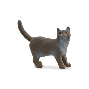Schleich - 13973 | British Shorthair Cat