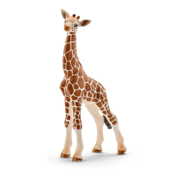 4 | Wild Life: Giraffe Calf