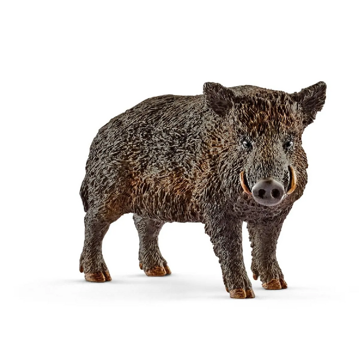 Schleich - 14783 | Wild Life: Wild Boar