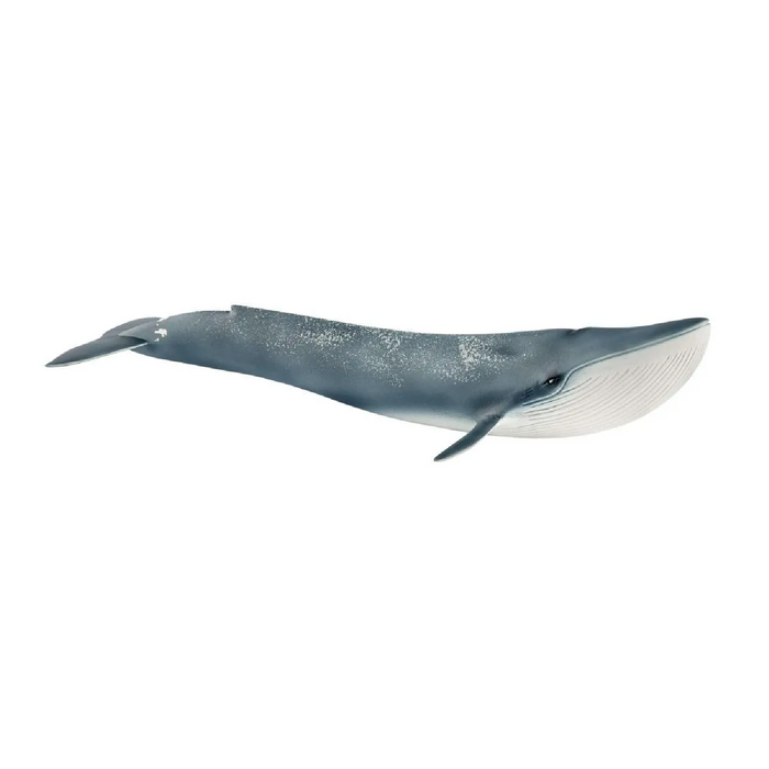 Schleich - 14806 | Wild Life: Blue Whale