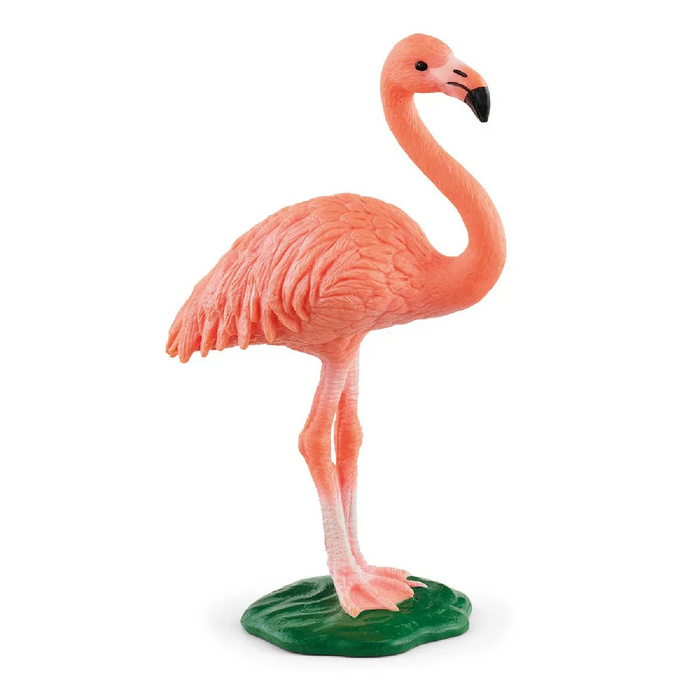 4 | Wild Life: Flamingo