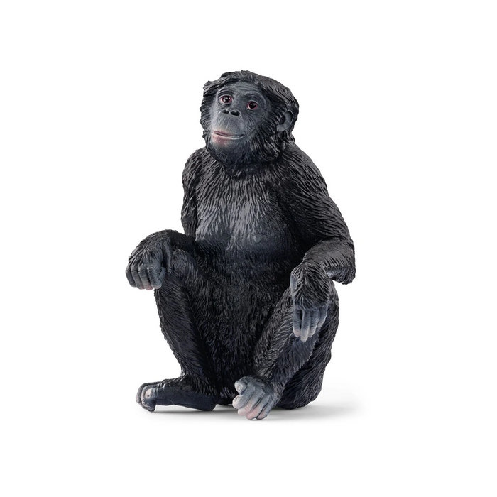 4 | Schleich Bonobo Female